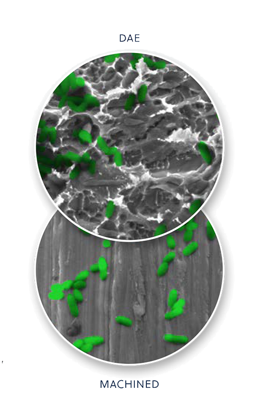 DAE Surface and machined titanium present similar bacterial adhesion profiles.