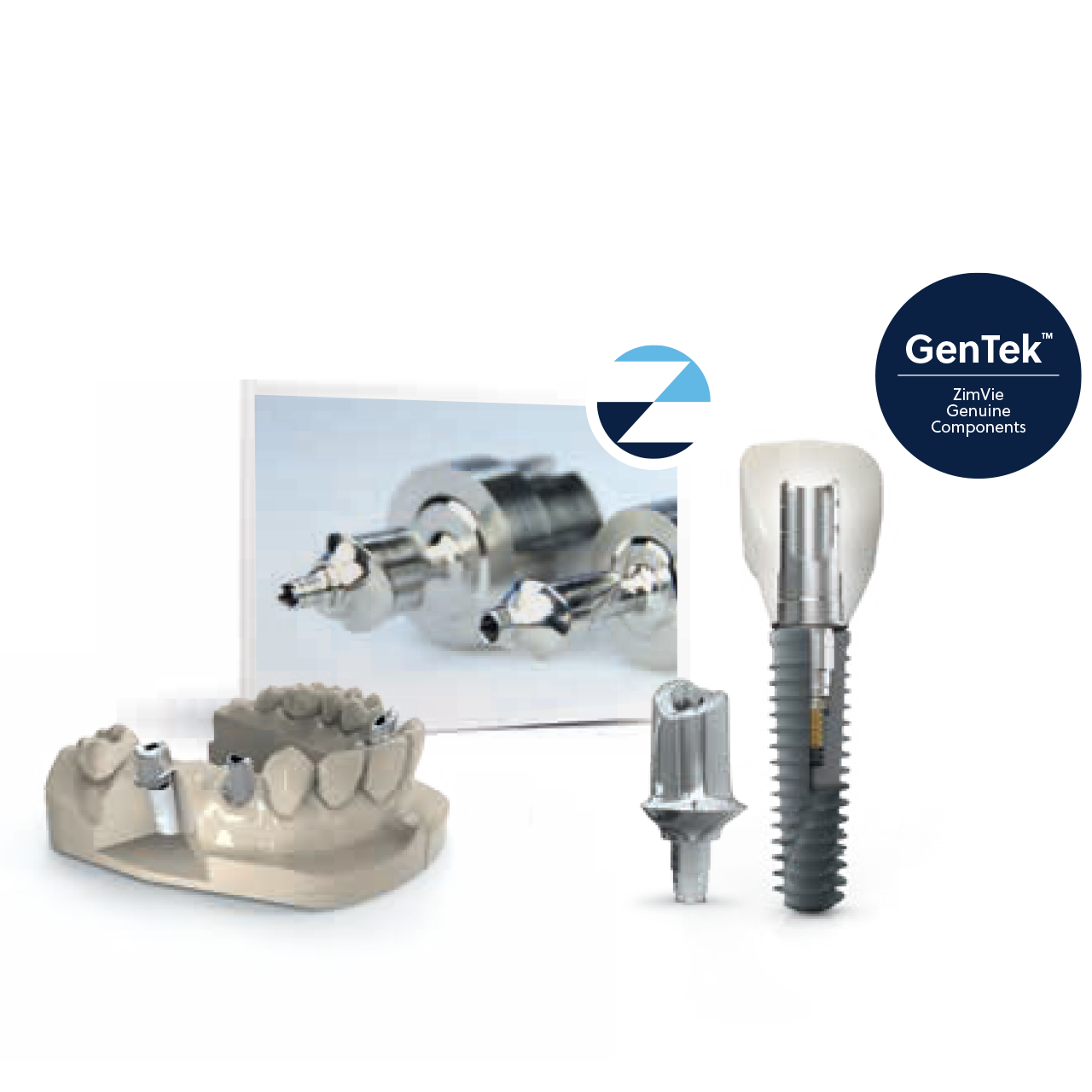 Have your dental lab make the prosthesis using a GenTek OEM component, or have your dental technician submit the case for a ZimVie milled patient-specific abutment and 3D printed model.