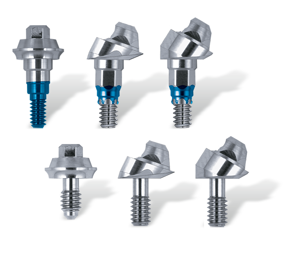 Certain External Low Profile Abutments