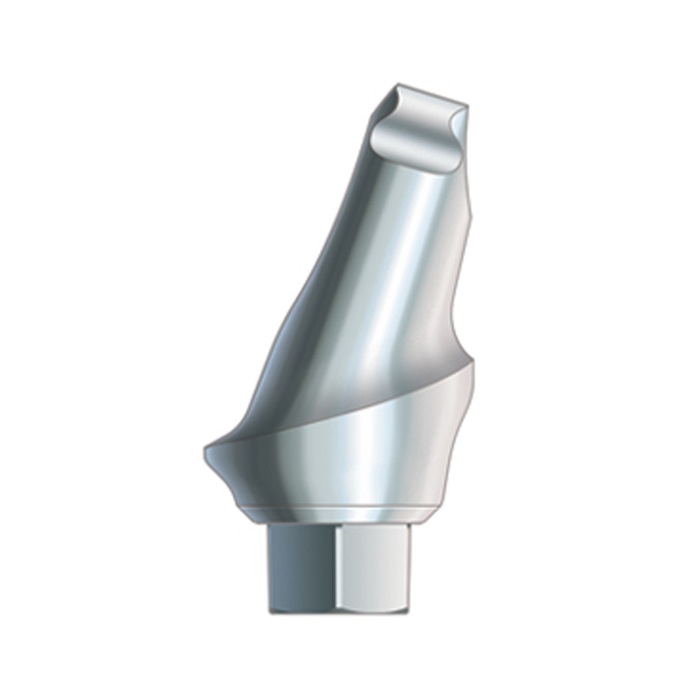 Hex-Lock Contour Abutments, 17°